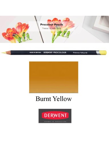 Lápices Procolour Derwent