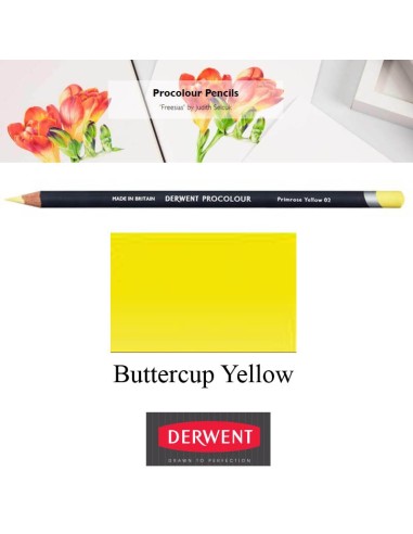 Lápices Procolour Derwent