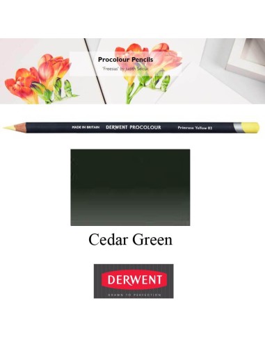 Lápices Procolour Derwent