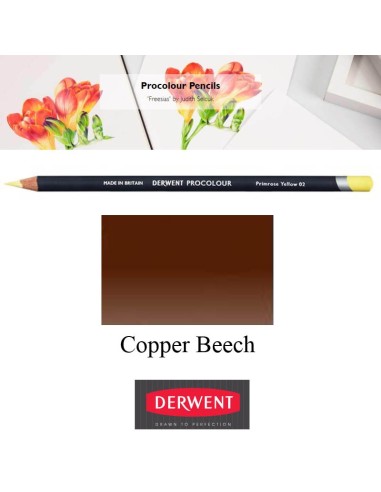 Lápices Procolour Derwent