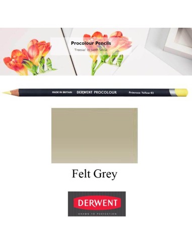 Lápices Procolour Derwent