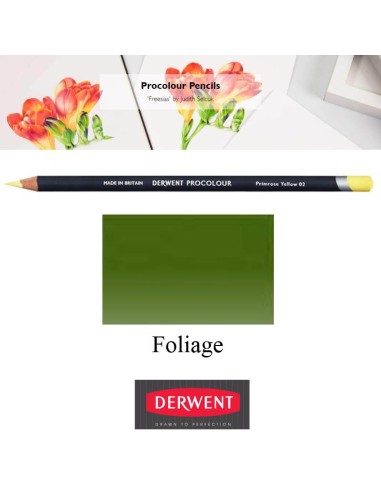 Lápices Procolour Derwent