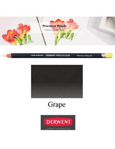 Lápices Procolour Derwent