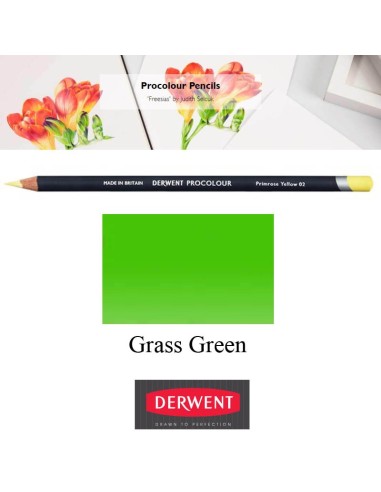 Lápices Procolour Derwent