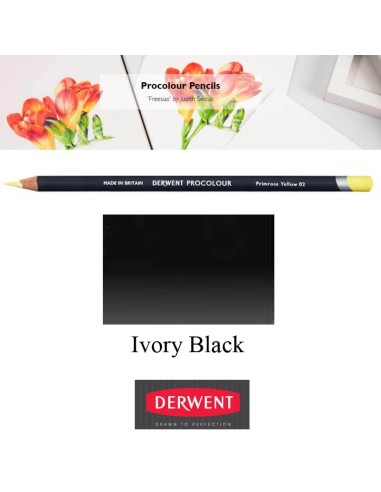 Lápices Procolour Derwent