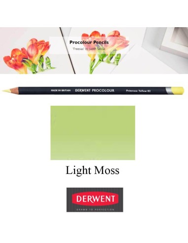 Lápices Procolour Derwent