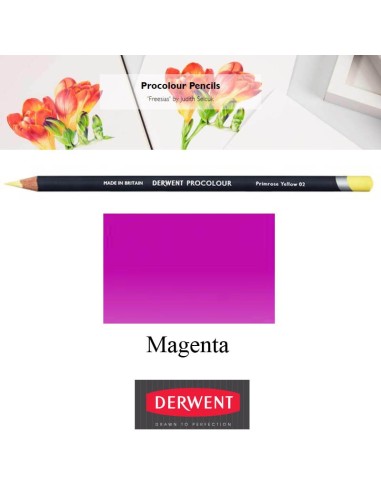 Lápices Procolour Derwent