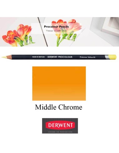 Lápices Procolour Derwent