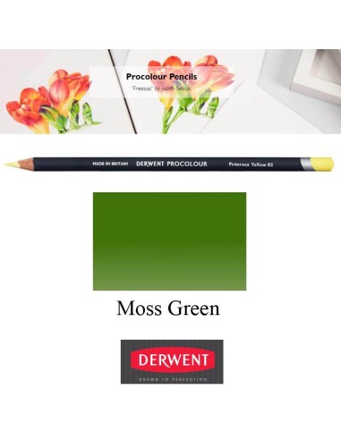 Lápices Procolour Derwent