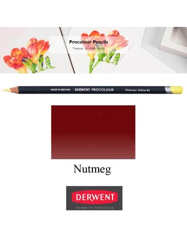 Lápices Procolour Derwent