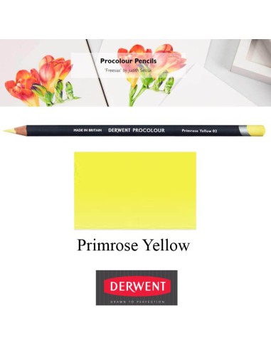 Lápices Procolour Derwent