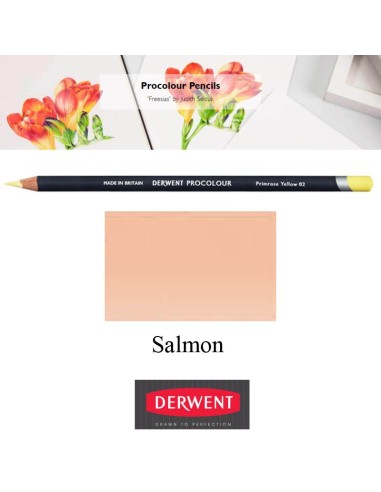 Lápices Procolour Derwent