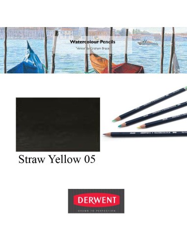 Derwent Watercolour Lápices acuarelables