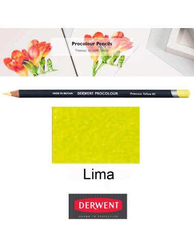 Lápices Procolour Derwent