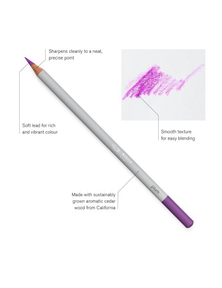 Studio collection colour pencil 