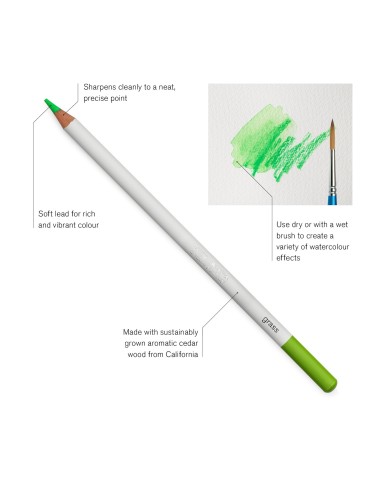 Studio collection Water colour pencil