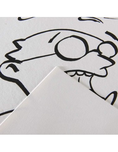 Canson Illustration Hojas sueltas