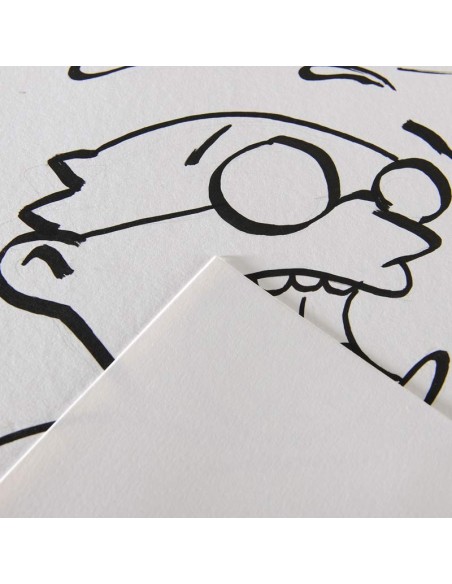 Canson Illustration Hojas sueltas