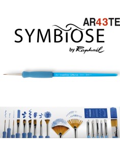 Pincel redodo Symbiose by Raphaël 8000 2