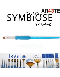 Pincel Follaje Symbiose by Raphaël 8031 2