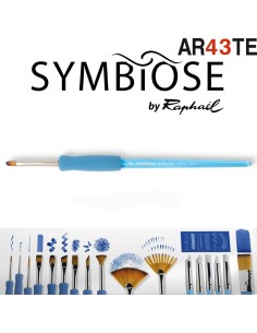 Pincel Lengua de gato Symbiose by Raphaël 8040 2