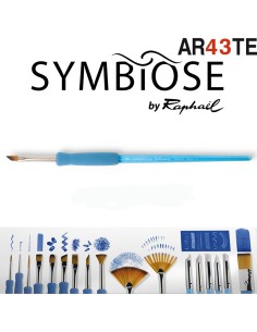 Pincel Biselado Symbiose by Raphaël 8060 2