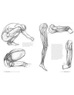 Anatmía artística 2