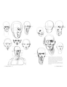 Anatmía artística 2 2