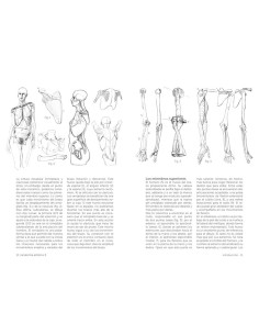 Anatomía artística 3 2