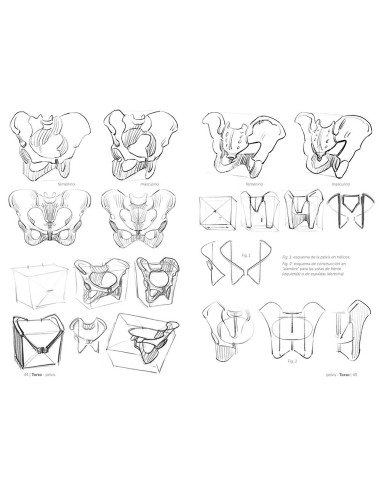 Anatomía artística 3