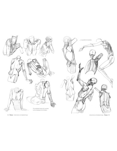 Anatomía artística 3