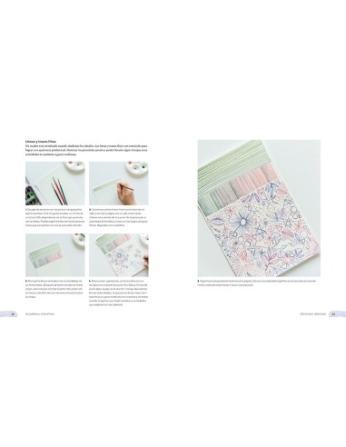 Acuarela cretiva, Guía paso a paso para principiantes.