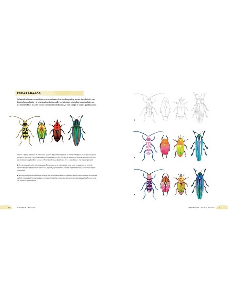 Acuarela cretiva, Guía paso a paso para principiantes.