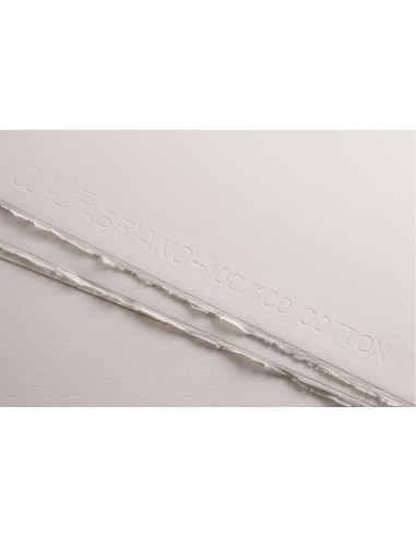 Tiepolo blanco (Hojas Fabriano)