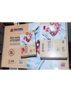 Student-Pro Bloc watercolor 2