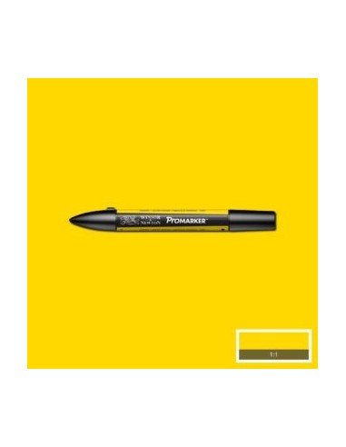 Promarker nueva carta