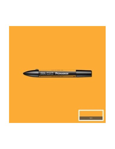 Promarker nueva carta