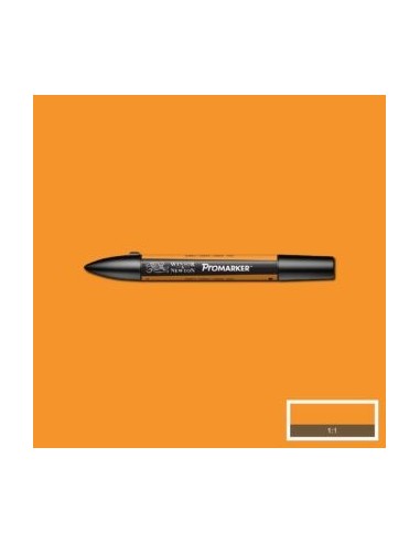 Promarker nueva carta