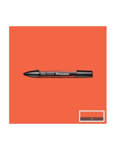 Promarker nueva carta