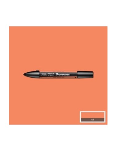 Promarker nueva carta