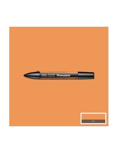 Promarker nueva carta