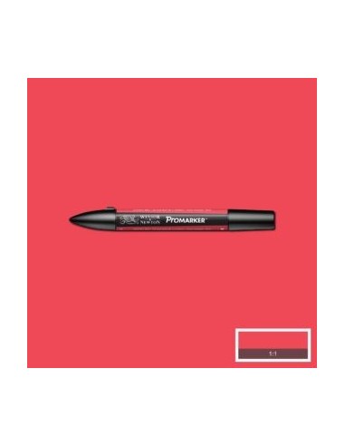 Promarker nueva carta