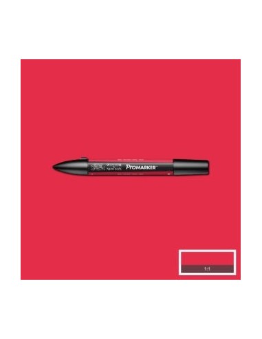 Promarker nueva carta