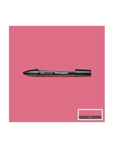 Promarker nueva carta