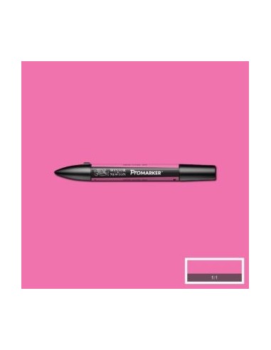 Promarker nueva carta