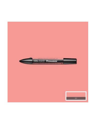 Promarker nueva carta