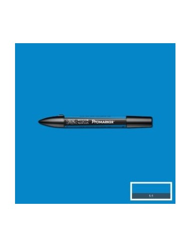 Promarker nueva carta