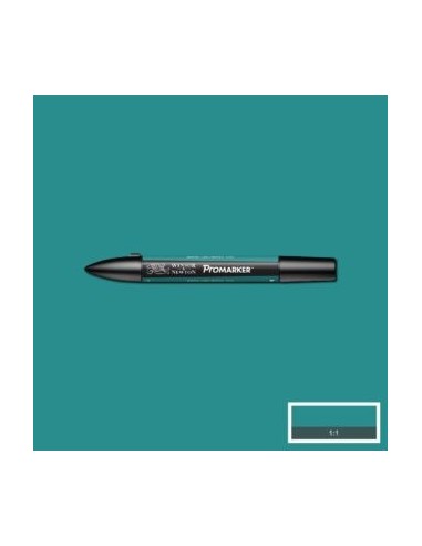 Promarker nueva carta