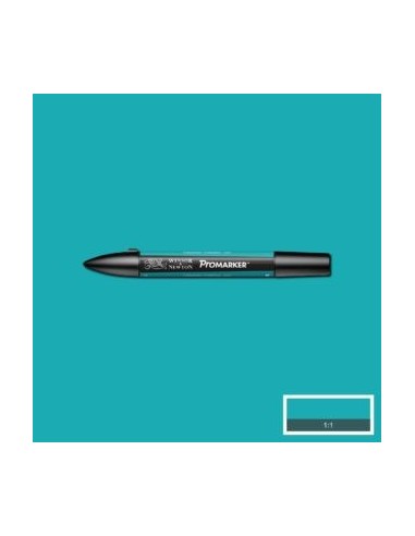 Promarker nueva carta