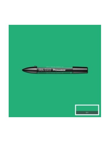 Promarker nueva carta